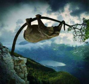 sich zuviel vorgenommen