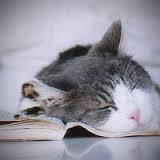 Olivia bei der Arbeit