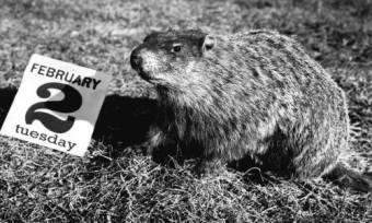 Groundhog day